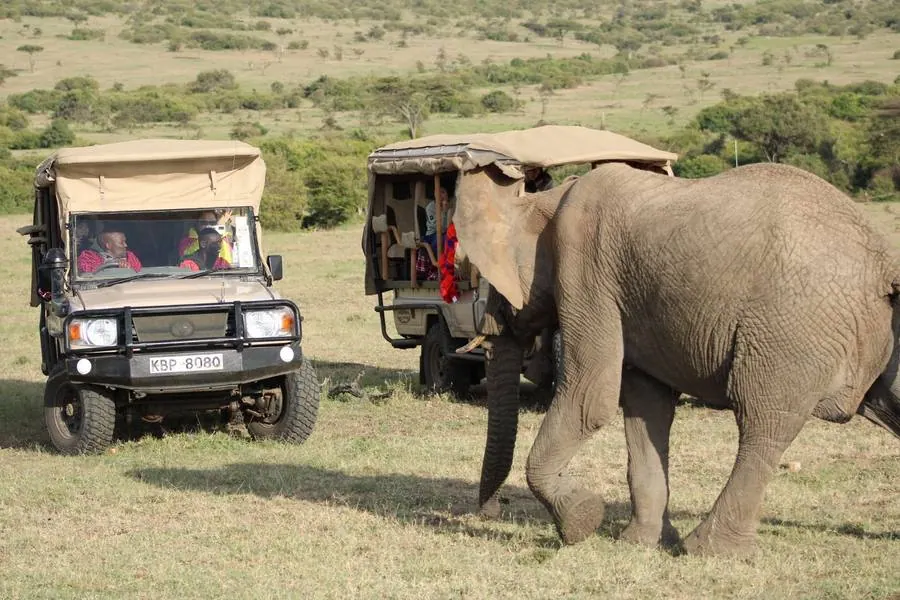 Elephant and hippo in the Maasai Mara
