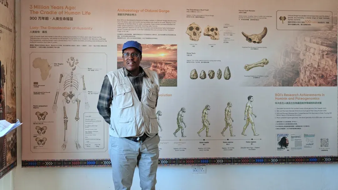 A guest beside the human-origins timeline